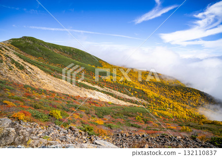 乘鞍迴聲線沿線的紅葉（2025年） 132110837
