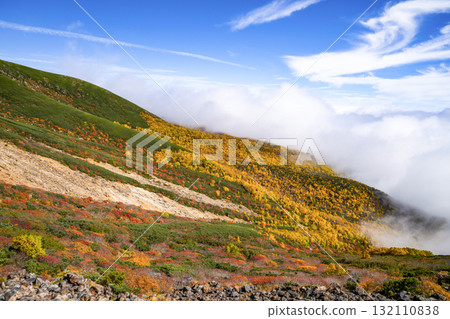 乘鞍迴聲線沿線的紅葉（2025年） 132110838