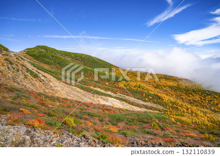 Autumn leaves along the Norikura Echo Line (2025) 132110839