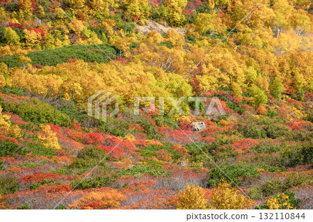 乘鞍迴聲線沿線的紅葉(2025年) 乘鞍迴聲線沿線的紅葉(2025年) 132110844