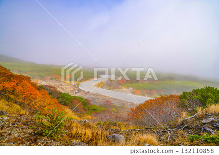 霧氣籠罩下的乘鞍迴聲線秋葉（2025年） 132110858