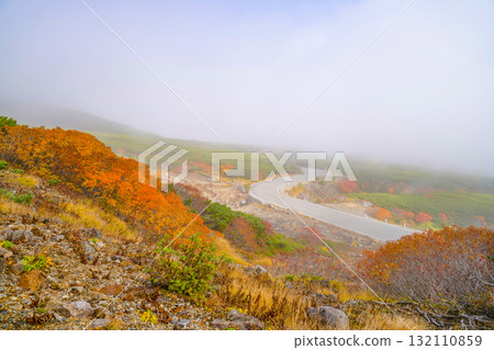 霧氣籠罩下的乘鞍迴聲線秋葉（2025年） 132110859