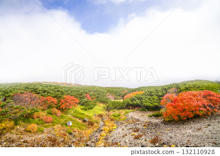 Autumn leaves along the Norikura Echo Line covered in fog (2025) 132110928