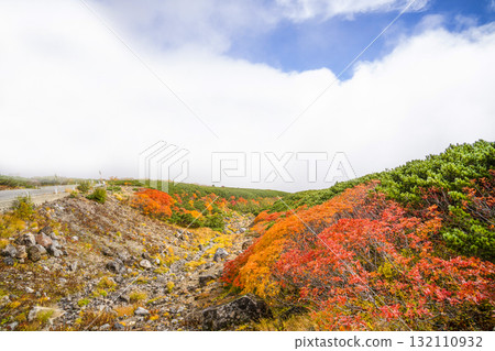 霧氣籠罩下的乘鞍迴聲線秋葉（2025年） 132110932