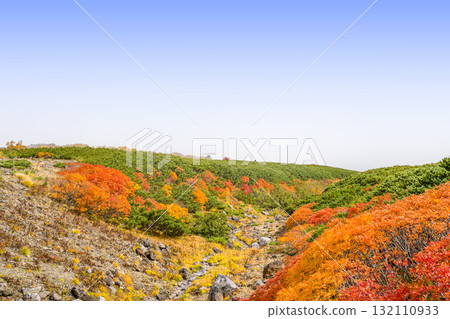 乘鞍迴聲線沿線的紅葉（2025年） 132110933