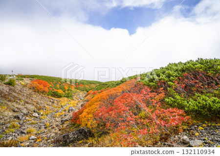 霧氣籠罩下的乘鞍迴聲線秋葉（2025年） 132110934