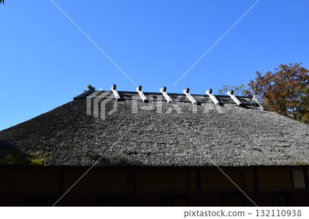 Thatched roof Thatched roof 132110938