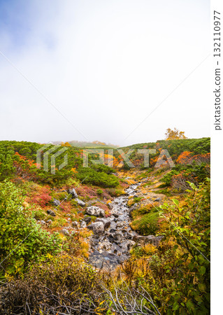 霧氣籠罩下的乘鞍迴聲線秋葉（2025年） 132110977