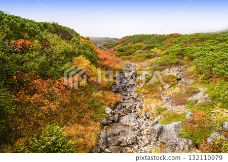 乘鞍迴聲線沿線的紅葉（2025年） 132110979