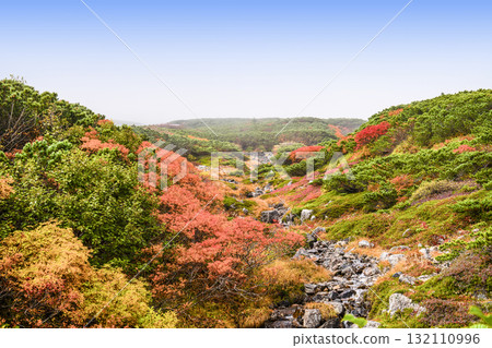 Autumn leaves along the Norikura Echo Line (2025) 132110996