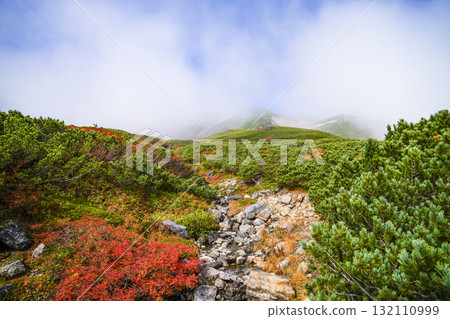 霧氣籠罩下的乘鞍迴聲線秋葉(2025年) 霧氣籠罩下的乘鞍迴聲線秋葉(2025年) 132110999