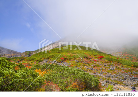 Autumn leaves along the Norikura Echo Line covered in fog (2025) Autumn leaves along the Norikura Echo Line covered in fog (2025) 132111030
