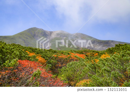 Autumn leaves along the Norikura Echo Line (2025) 132111031