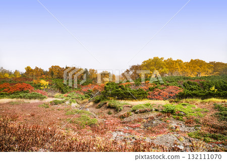 Autumn leaves along the Norikura Echo Line (2025) Autumn leaves along the Norikura Echo Line (2025) 132111070