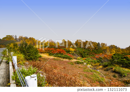 Autumn leaves along the Norikura Echo Line (2025) Autumn leaves along the Norikura Echo Line (2025) 132111073