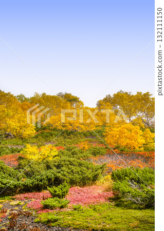 Autumn leaves along the Norikura Echo Line (2025) 132111150