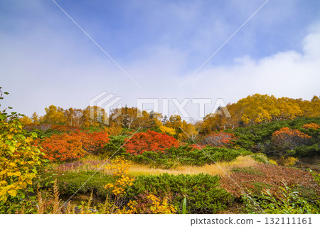 乘鞍迴聲線沿線的紅葉(2025年) 乘鞍迴聲線沿線的紅葉(2025年) 132111161