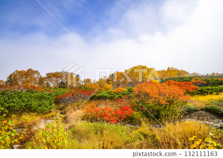 乘鞍迴聲線沿線的紅葉(2025年) 乘鞍迴聲線沿線的紅葉(2025年) 132111163
