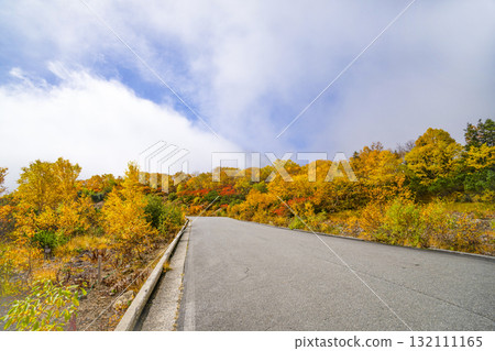 乘鞍迴聲線沿線的紅葉（2025年） 132111165