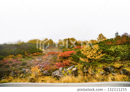 乘鞍迴聲線沿線的紅葉(2025年) 乘鞍迴聲線沿線的紅葉(2025年) 132111255
