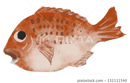 用水彩畫的鯛魚 用水彩畫的鯛魚 132111540