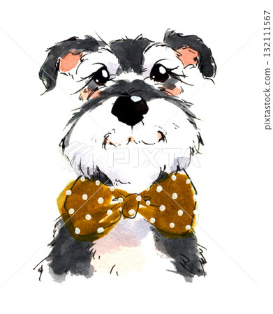 Schnauzer painted in watercolor Schnauzer painted in watercolor 132111567