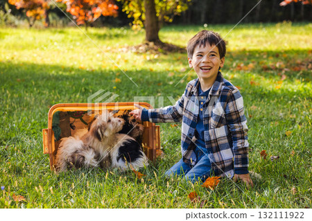 Smiling boy playing with Havanese puppies in a box on a sunny autumn day outdoors 132111922