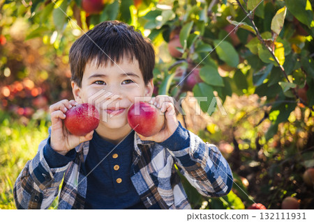 Happy boy holding two red apples while smiling in an orchard on a sunny autumn day 132111931
