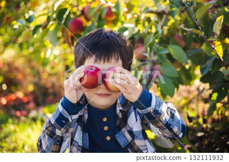Playful boy holding two apples over his eyes while sitting in an orchard on a sunny autumn day 132111932