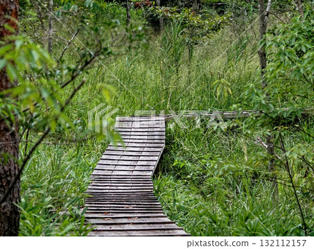 愛知縣立森林公園濕地觀察棧道 132112157