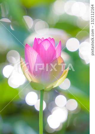 千六堂公園哈斯 132112164