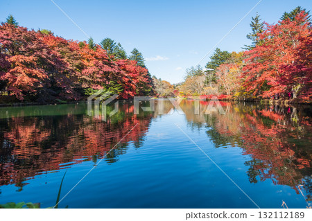 輕井澤、雲場池（秋季） 132112189