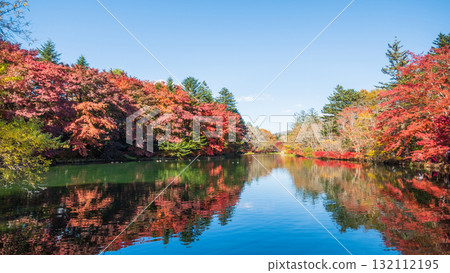 輕井澤、雲場池(秋季) 輕井澤、雲場池(秋季) 132112195