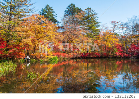 Karuizawa, Kumoba Pond (Autumn) Karuizawa, Kumoba Pond (Autumn) 132112202