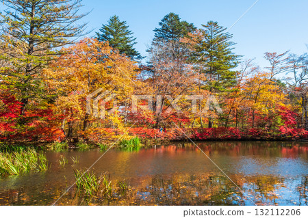 Karuizawa, Kumoba Pond (Autumn) Karuizawa, Kumoba Pond (Autumn) 132112206