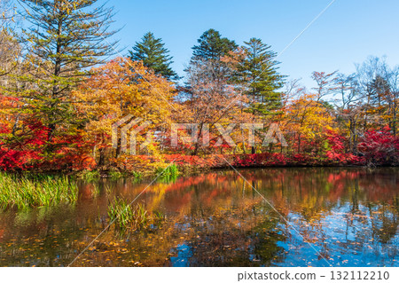 輕井澤、雲場池(秋季) 輕井澤、雲場池(秋季) 132112210