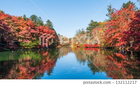輕井澤、雲場池(秋季) 輕井澤、雲場池(秋季) 132112217