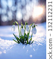 雪花在雪中綻放 132112231