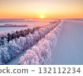 一排排落葉松樹刺穿了雪原和清晨的陽光 132112234