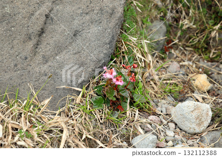 那須高原健行 132112388
