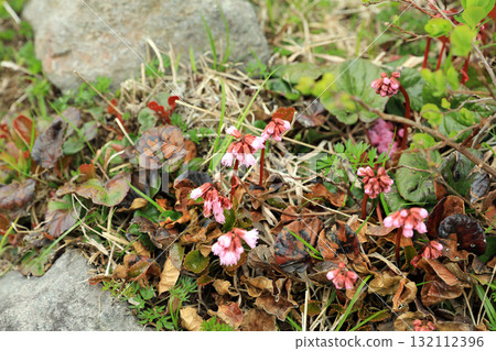 那須高原健行 132112396