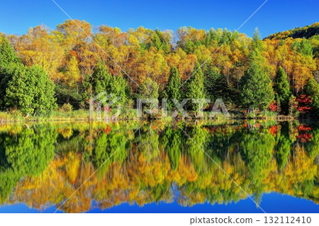 Shining autumn at Kido Pond 132112410