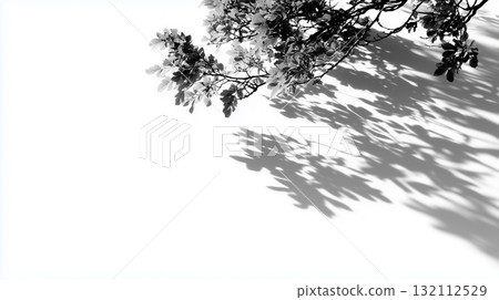 Abstract black and white tree leaves with strong shadows, pure white background 132112529