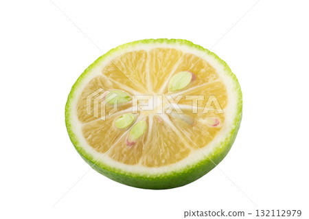 透明背景上切片的kabosu（png） 132112979