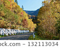 十勝岳溫泉附近的“北海道291號公路”上行駛，欣賞紅葉美景“十月” 132113034