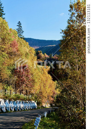 十勝岳溫泉的紅葉(10月,291號公路) 十勝岳溫泉的紅葉(10月,291號公路) 132113181