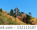 十勝岳溫泉的紅葉（10月，291號公路） 132113187