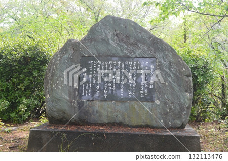 關東遊擊歌紀念碑（高知郡高知市城西公園、櫻場） 132113476