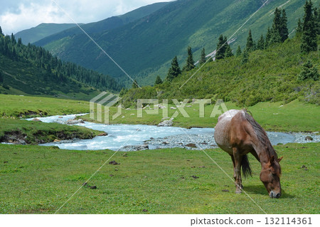 Kyrgyzstan_Dzhetyoguz_Telety Camp-Kok Jaiyk Valley 132114361