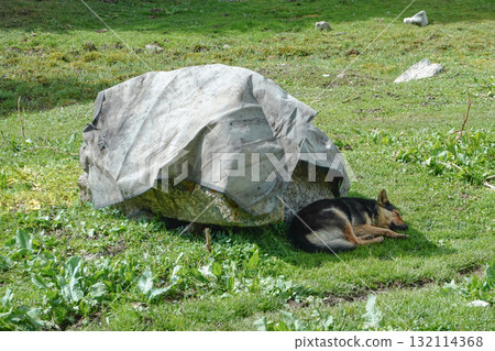 Kyrgyzstan_Dzhetyoguz_Telety Camp-Kok Jaiyk Valley Kyrgyzstan_Dzhetyoguz_Telety Camp-Kok Jaiyk Valley 132114368